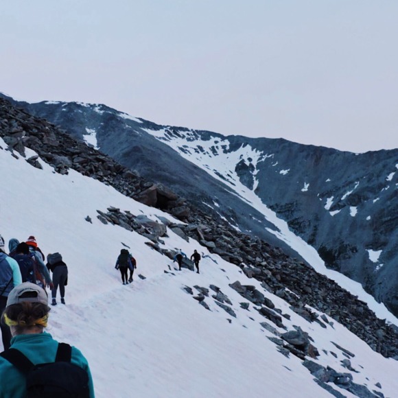 Meet your Posher, Sophia - Picture 1 of 1